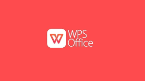 WPS如何设置默认保存格式,提升办公效率?