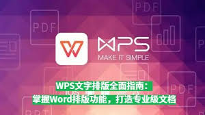 WPS文字排版高级技巧：提升文档美观与专业度？